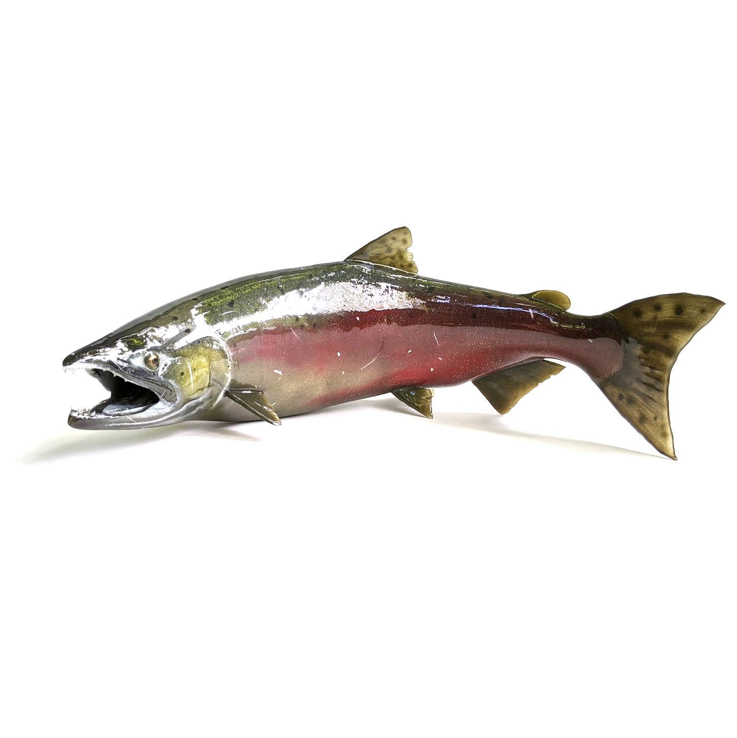 Hand painted, 3D printed, male Chinook Salmon model