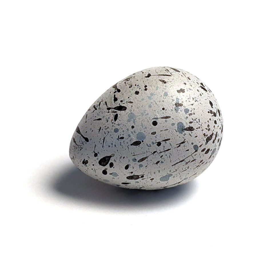 Piping Plover Egg Model