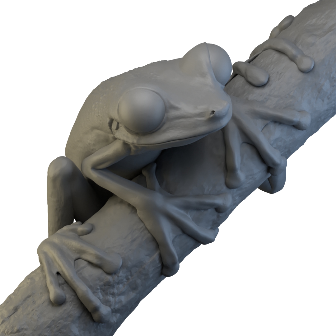 Closeup render of Imbabura Treefrog 3D model.