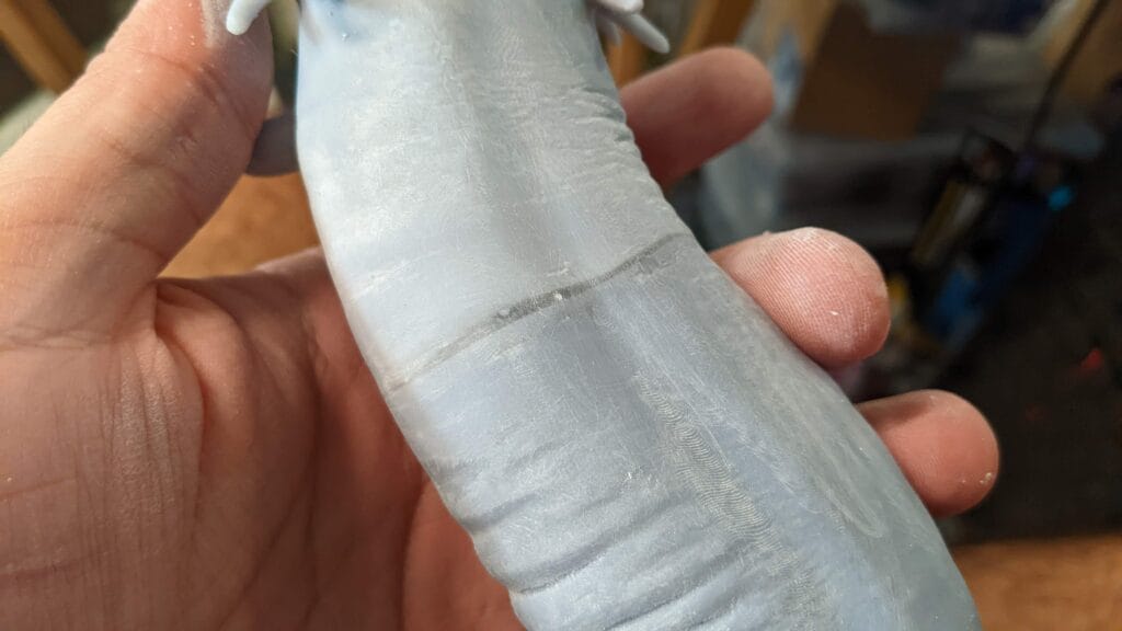 A person holding a light gray object with a visible seam and textured surface.