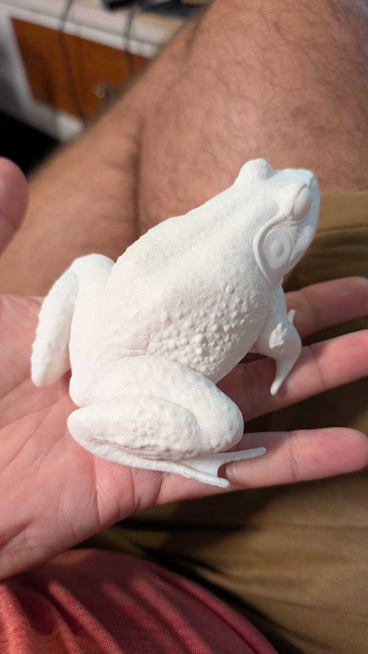 A white frog model being held in a person's hand with visible texture details.