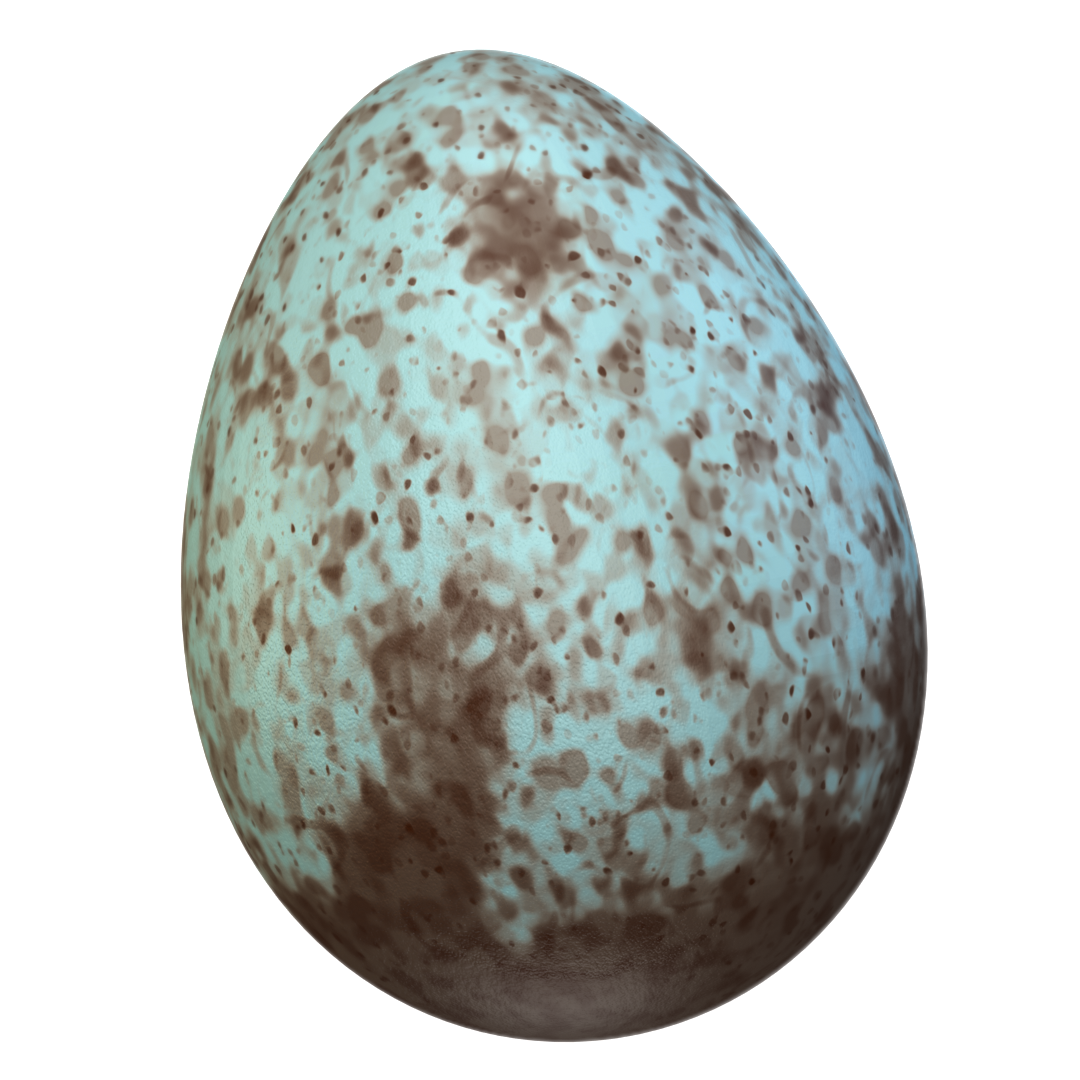 Blue Jay Egg (Cyanocitta cristata) 3D-printable files