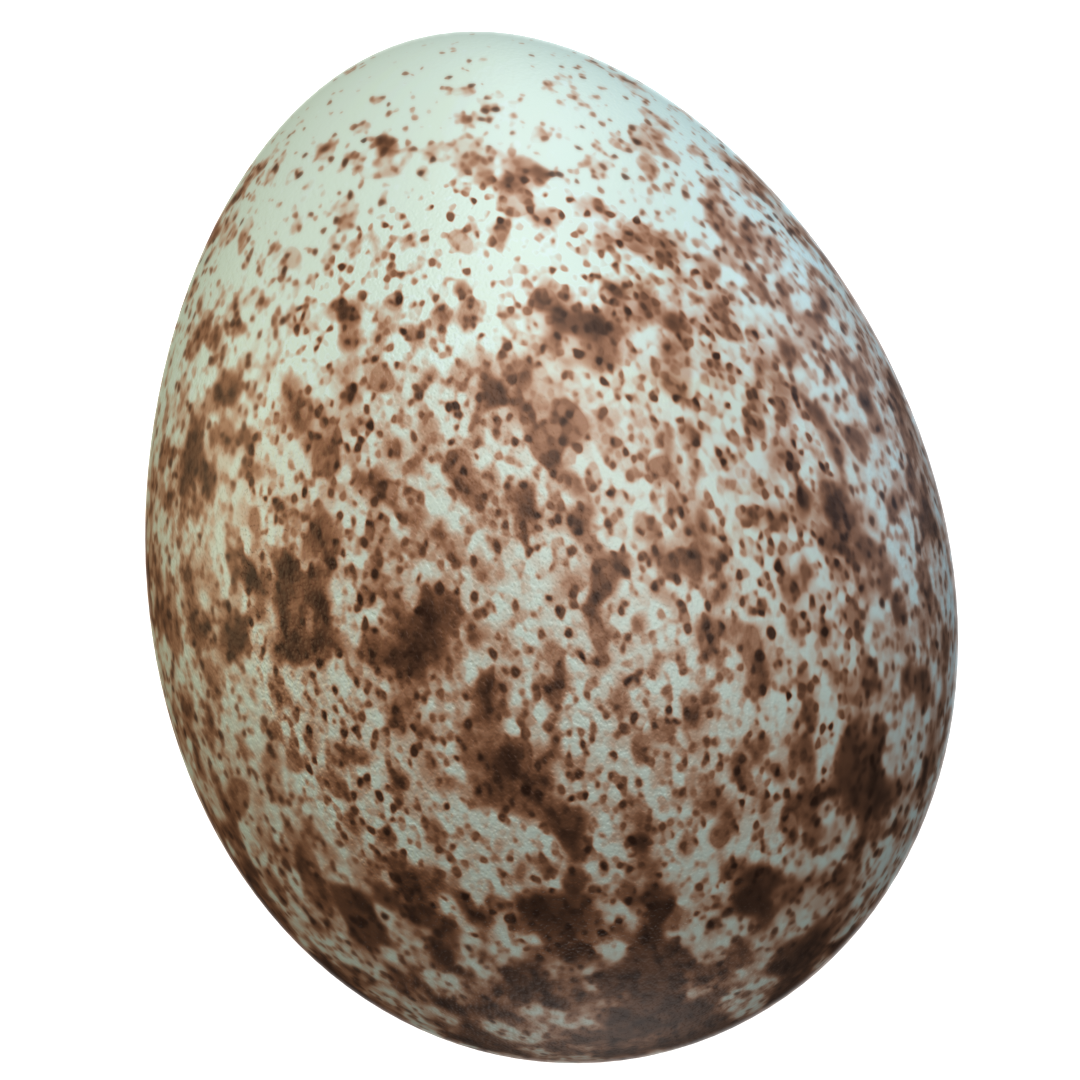 Brown-headed Cowbird Egg (Molothrus ater) 3D-printable files