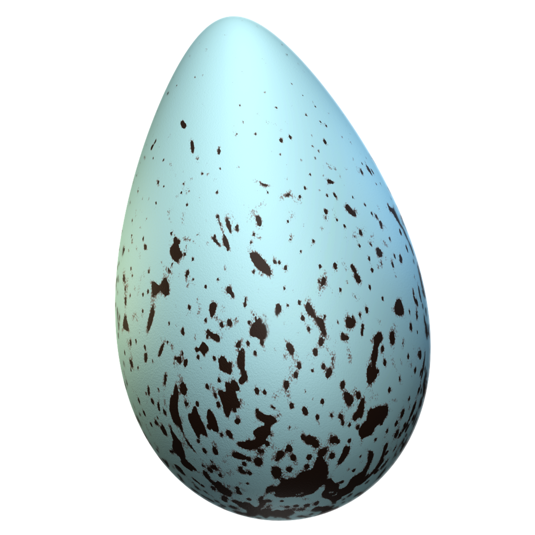 Common Murre Egg (Uria aalge) 3D-printable files