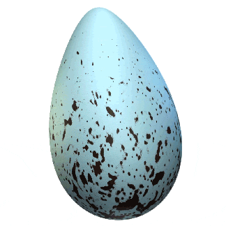 CommonMurreEggRotation