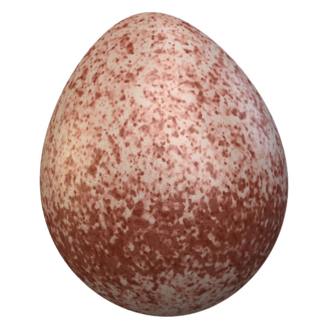 House Wren Egg (Troglodytes aedon) 3D-printable files