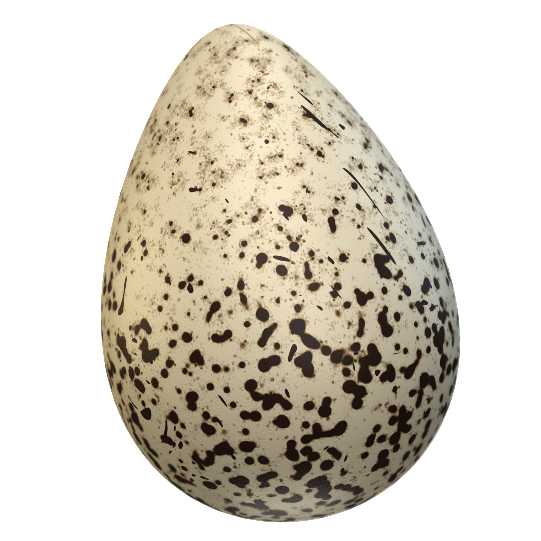 Killdeer Egg (Charadrius vociferus) 3D-printable files