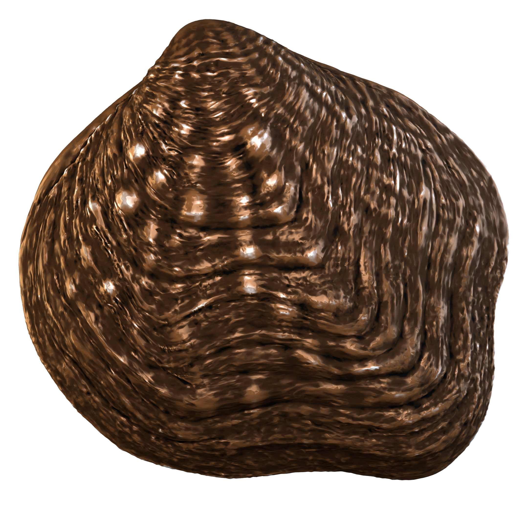 Mapleleaf mussel (Quadrula quadrula) 3D-printable files