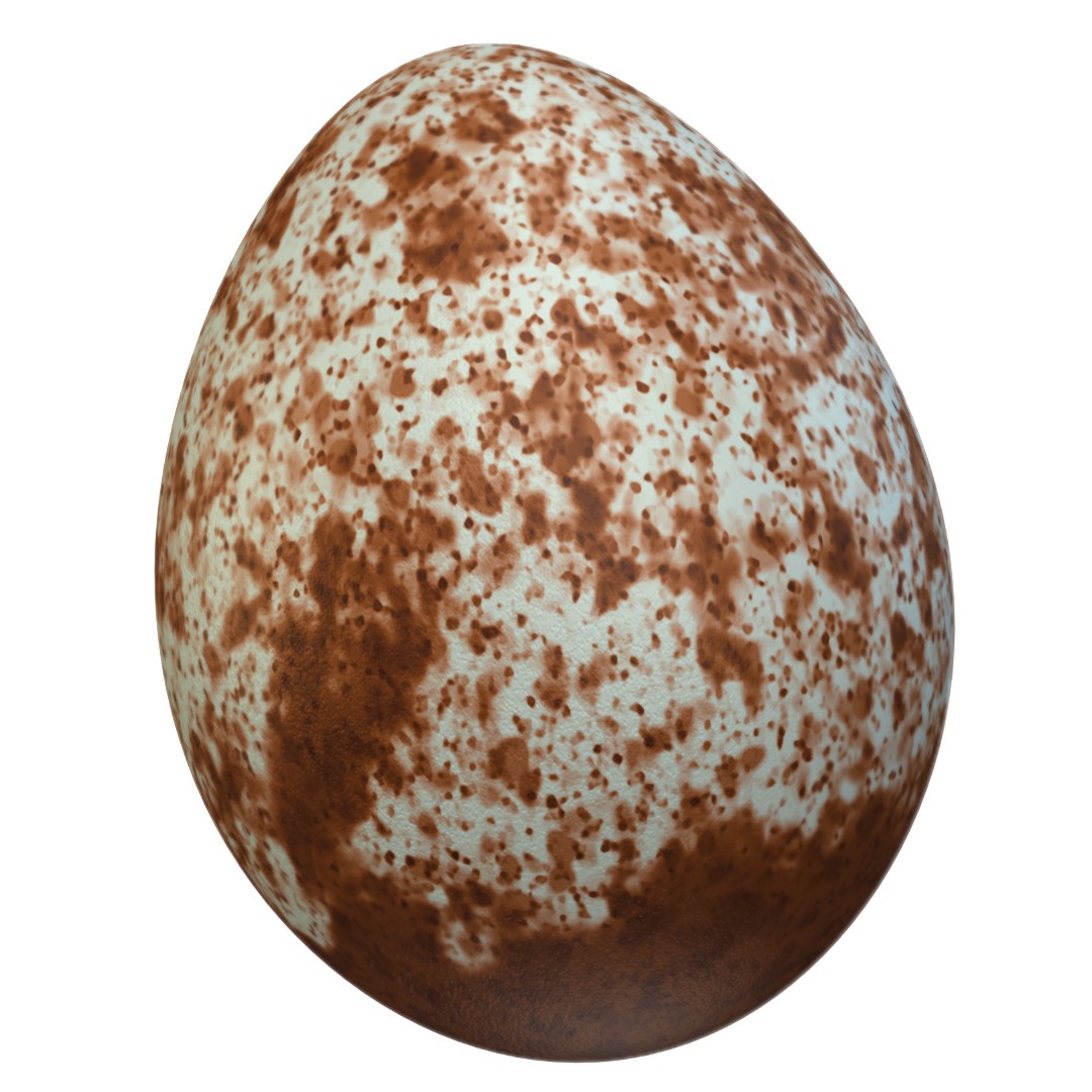 Song Sparrow Egg (Melospiza melodia) 3D-printable files