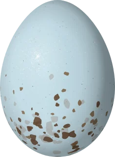 Abert's Towhee egg, 24.1 × 17.8 mm