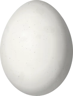 Acorn Woodpecker egg, 25.98 × 19.78 mm