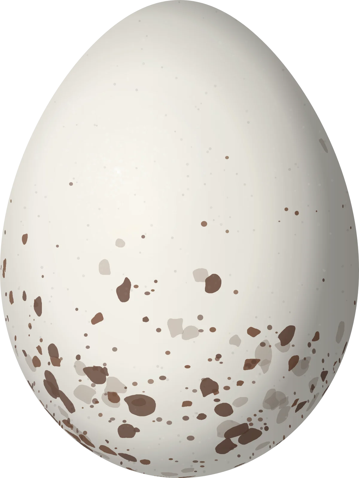 Illustration of an Agile Tit-Tyrant (Uromyias agilis) egg, 19.2 × 14.4 mm