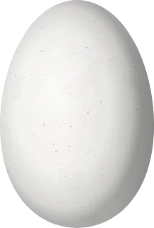 Illustration of an Allen's Hummingbird (Selasphorus sasin) egg, 12.7 × 8.6 mm
