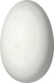 Illustration of an Amazilia Hummingbird (Amazilis amazilia) egg, 13.5 × 8.9 mm