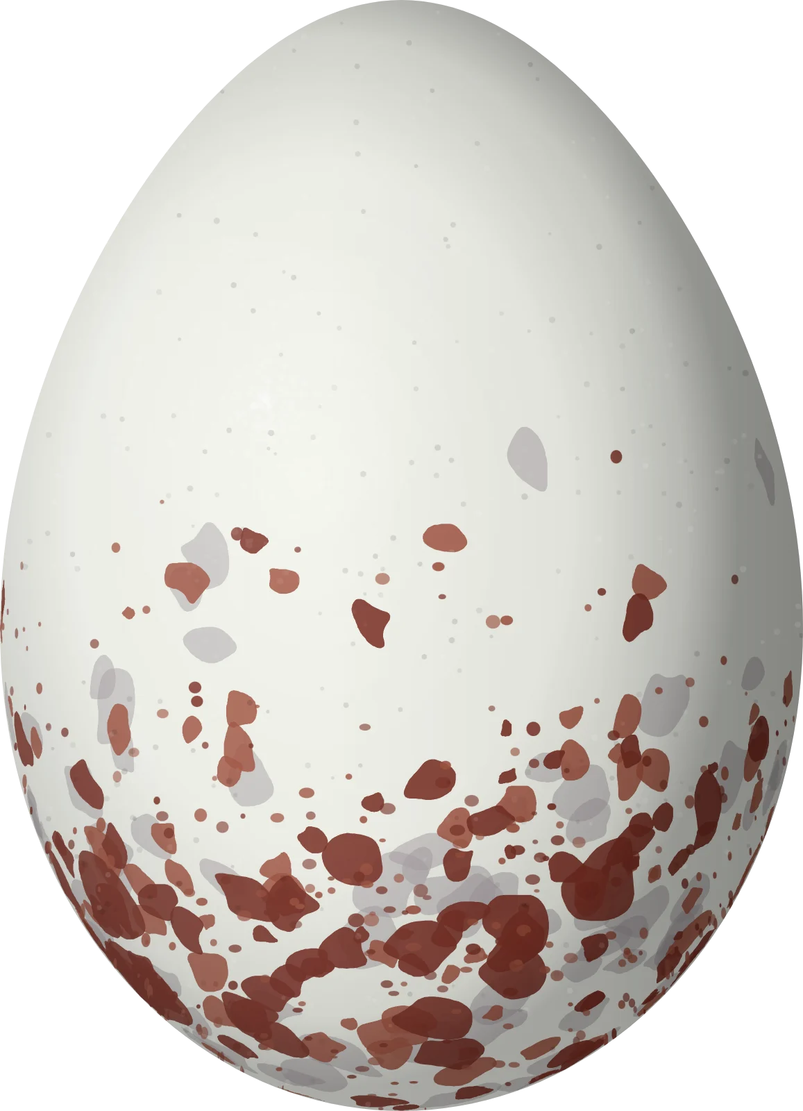 Illustration of an Amazonian Grosbeak (Cyanoloxia rothschildii) egg, 23.5 × 17 mm