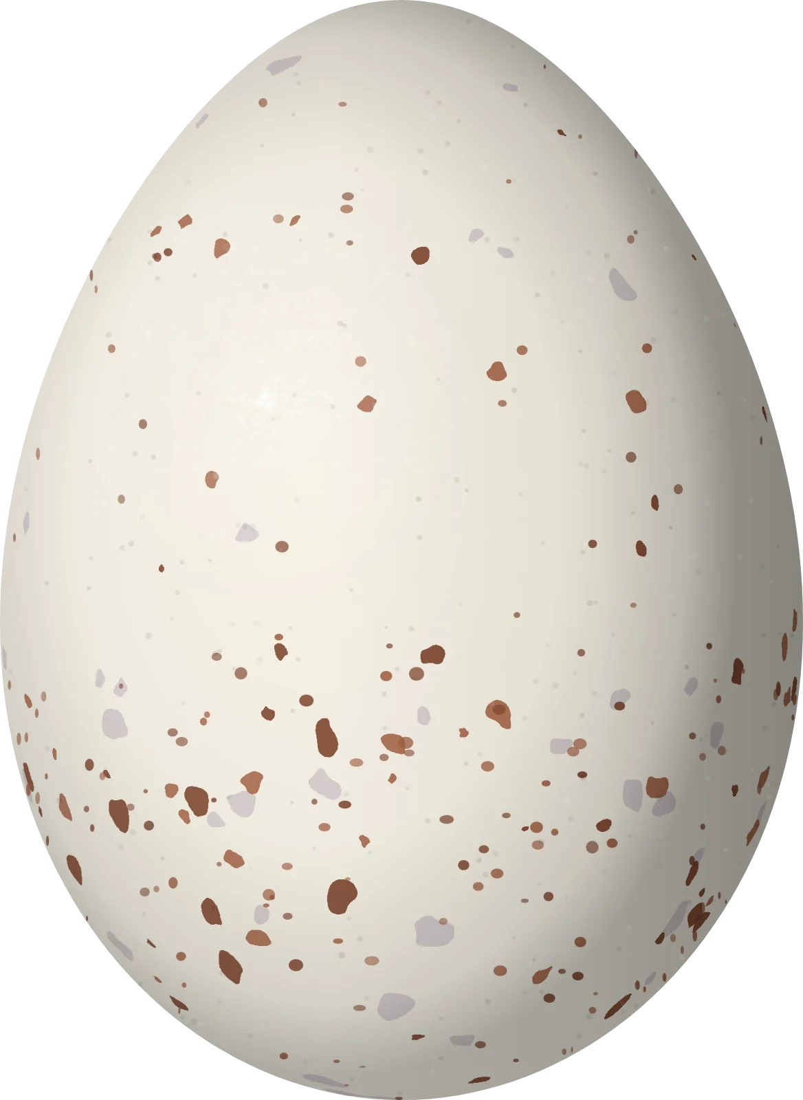 Illustration of an Amazonian Scrub Flycatcher (Sublegatus obscurior) egg, 18.5 × 13.5 mm