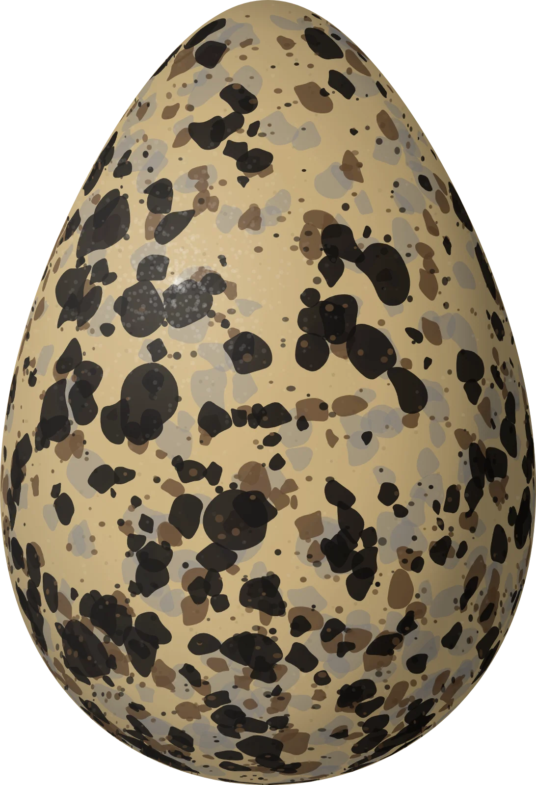 Illustration of an American Avocet (Recurvirostra americana) egg, 49.8 × 34 mm