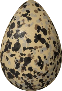 American Avocet egg, 49.8 × 34 mm
