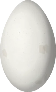 American Flamingo egg, 91.3 × 55.4 mm