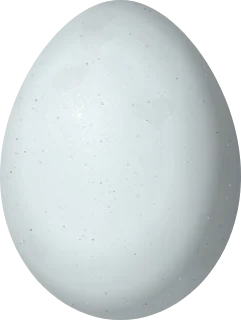 American Goldfinch egg, 16.2 × 12.2 mm