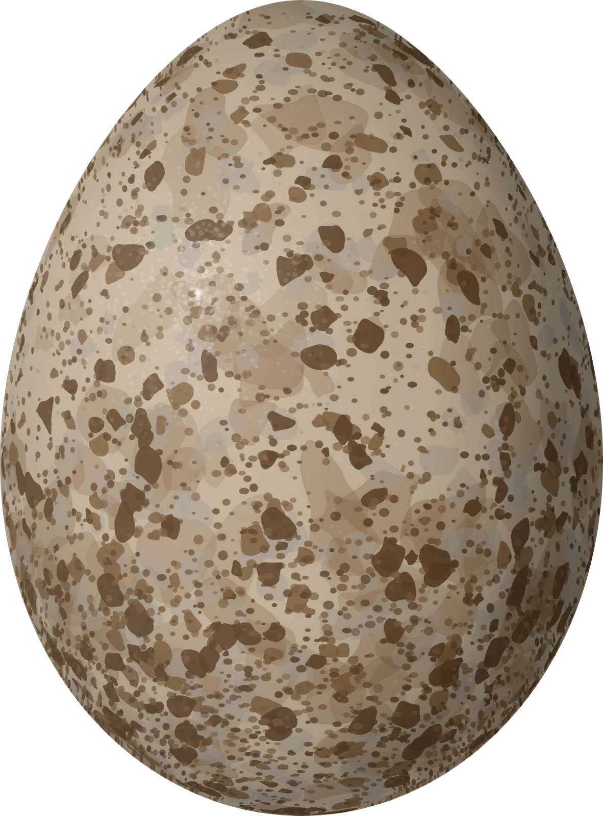 Illustration of an American Pipit (Anthus rubescens) egg, 19.9 × 14.7 mm