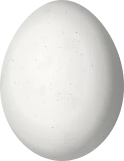 American Three-toed Woodpecker egg, 23.32 × 18.01 mm