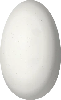 Illustration of an Amethyst-throated Sunangel (Heliangelus amethysticollis) egg, 14.2 × 8.8 mm