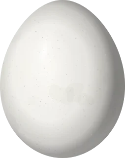 Illustration of an Andean Motmot (Momotus aequatorialis) egg, 38.1 × 30.3 mm