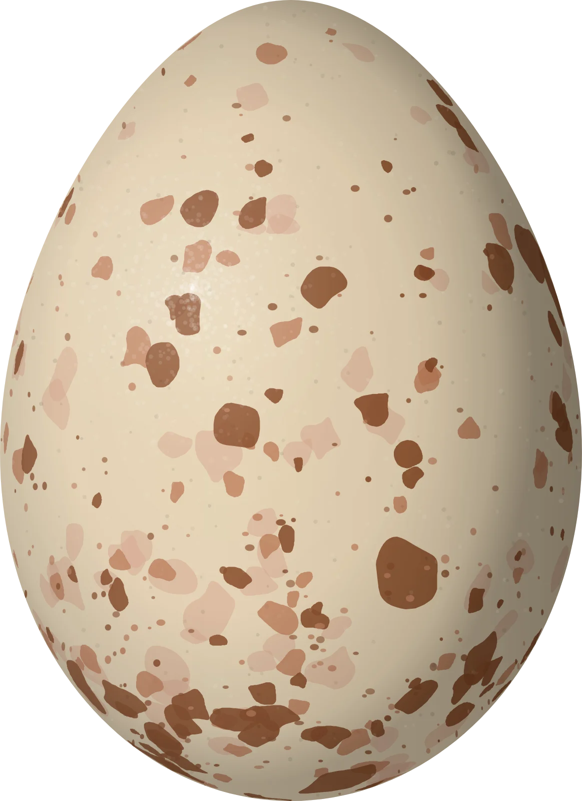 Illustration of an Andean Swallow (Orochelidon andecola) egg, 18.3 × 13.3 mm