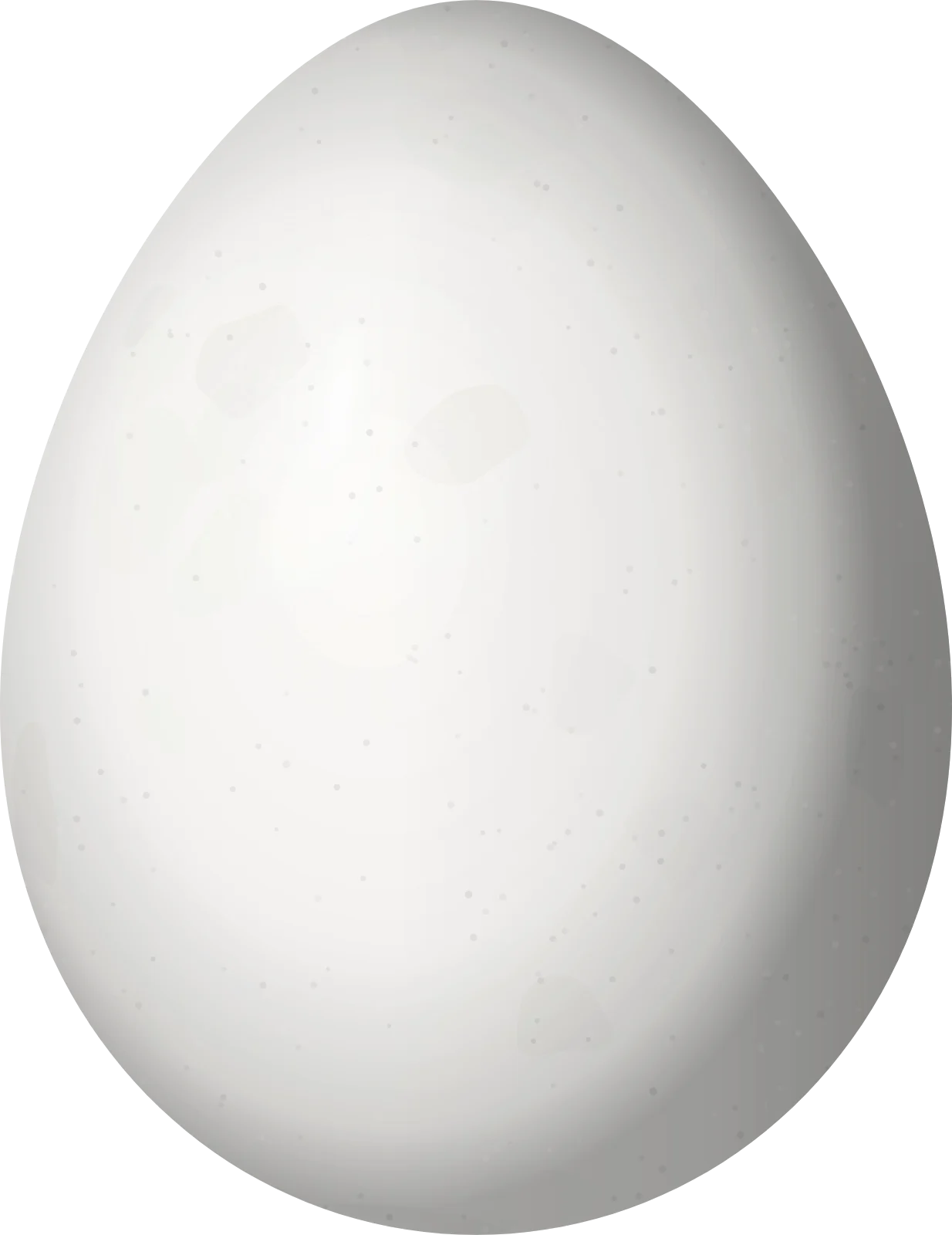 Illustration of an Andean Tit-Spinetail (Leptasthenura andicola) egg, 17.5 × 13.5 mm