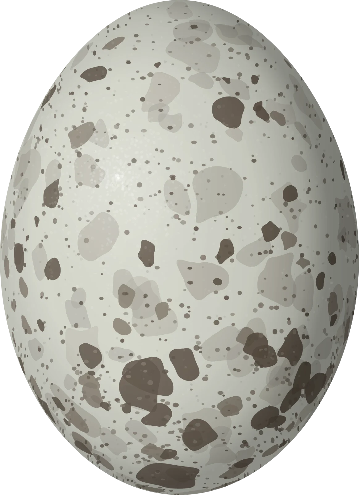 Illustration of an Antillean Nighthawk (Chordeiles gundlachii) egg, 28.9 × 21 mm