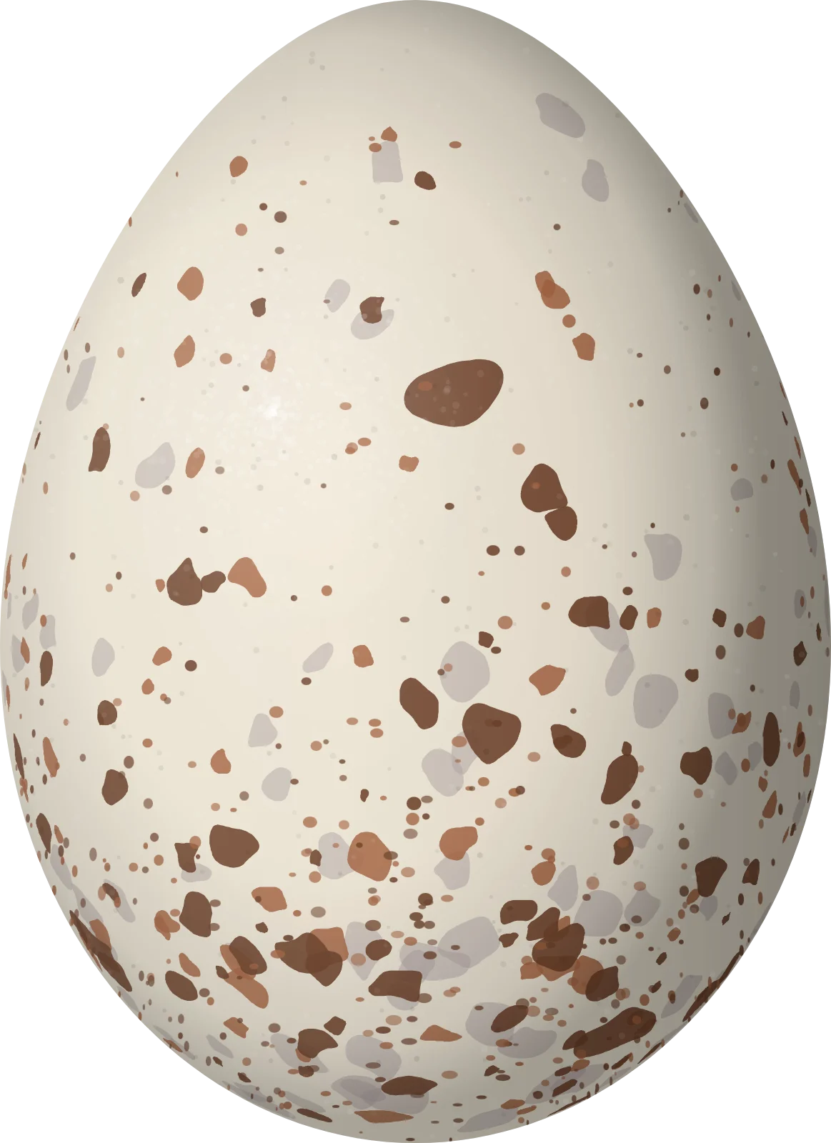 Illustration of an Antioquia Brushfinch (Atlapetes blancae) egg, 23.8 × 17.3 mm