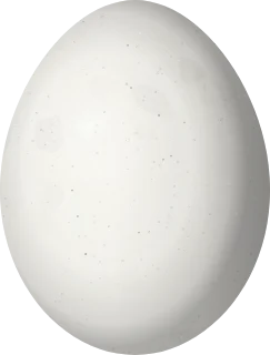 Arizona Woodpecker egg, 22.82 × 17.33 mm