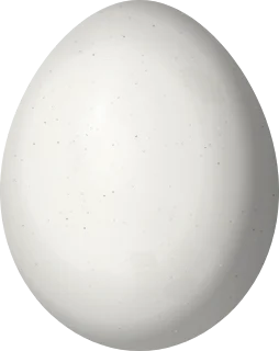Illustration of an Arrowhead Piculet (Picumnus minutissimus) egg, 15.5 × 12.3 mm