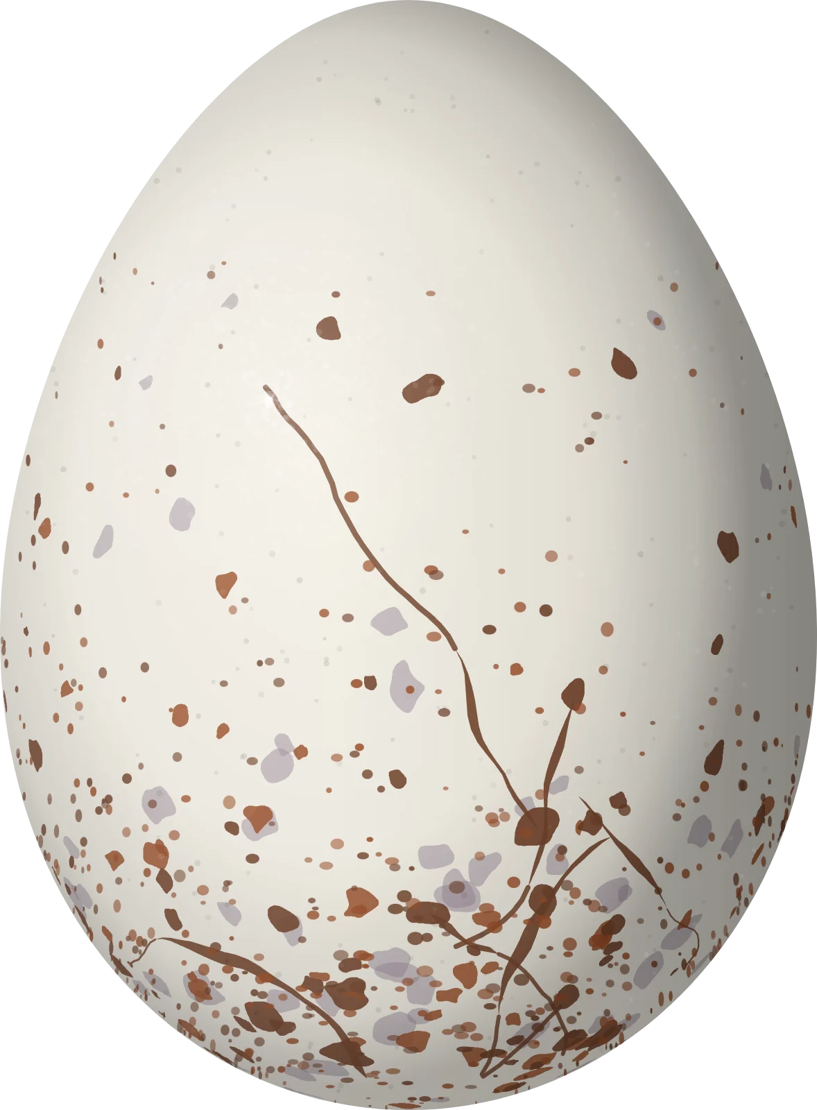 Illustration of an Ash-breasted Antbird (Myrmoborus lugubris) egg, 22 × 16.2 mm