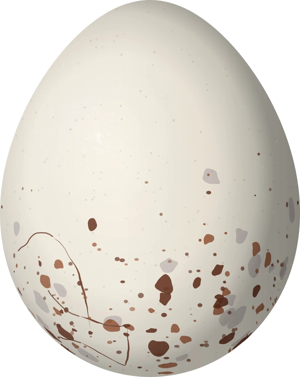 Illustration of an Ash-throated Casiornis (Casiornis fuscus) egg, 20.6 × 16.4 mm