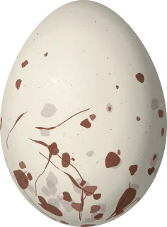 Ash-throated Flycatcher egg, 22.4 × 16.5 mm