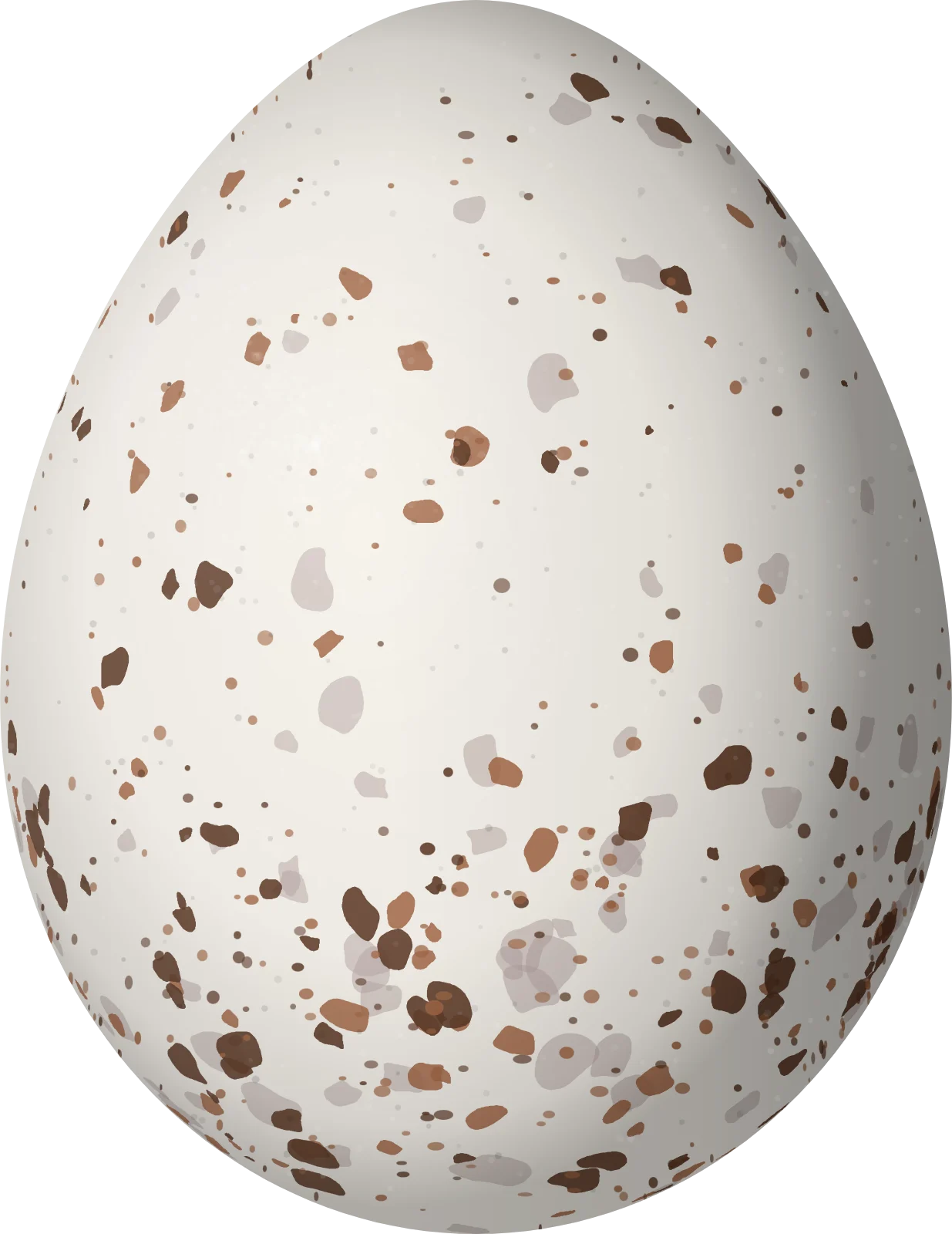 Illustration of an Ashy-throated Chlorospingus (Chlorospingus canigularis) egg, 20.6 × 15.9 mm