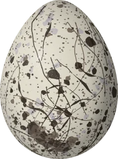 Illustration of an Atlantic White Tern (Gygis alba) egg, 43.9 × 32.6 mm