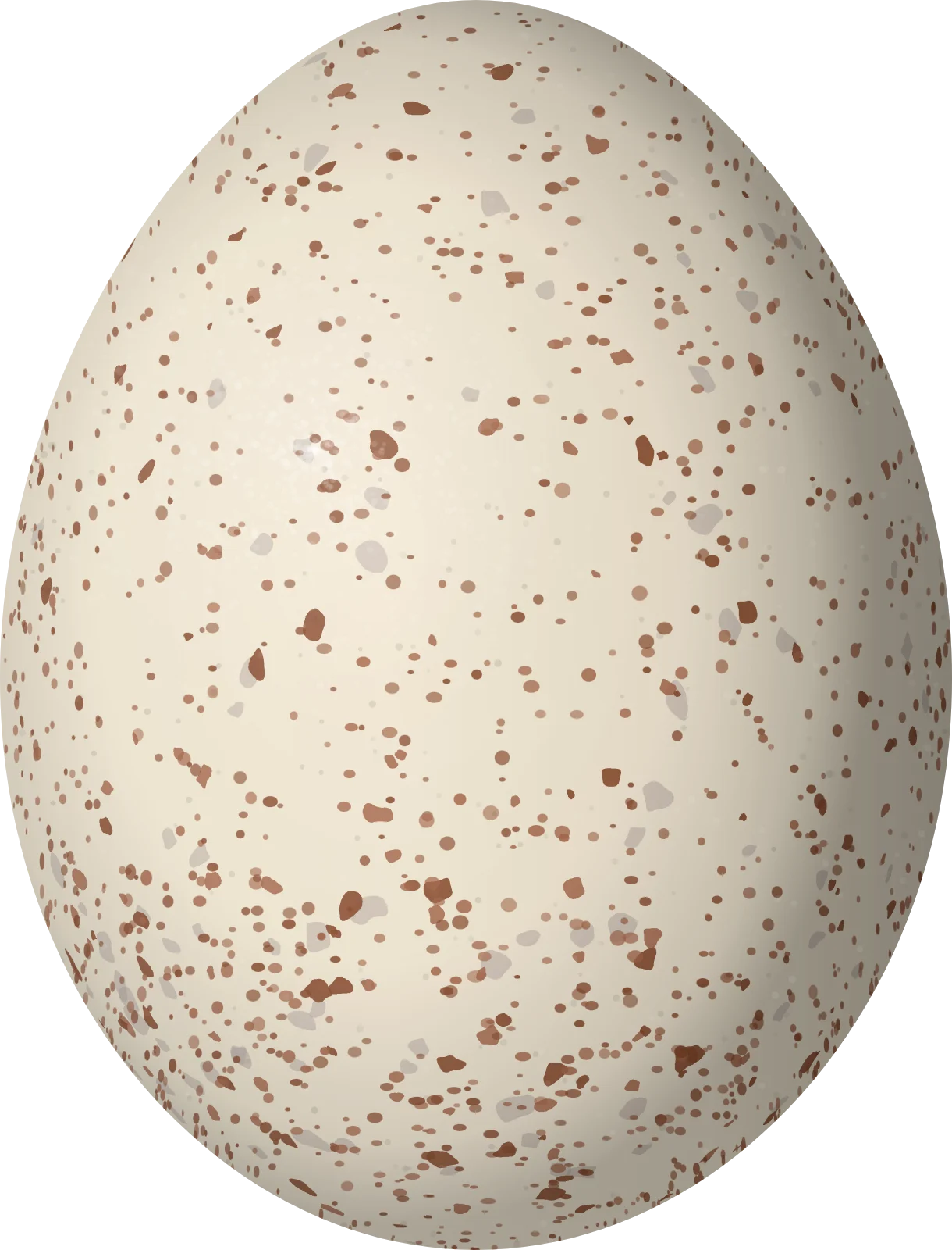 Illustration of an Azure Gallinule (Porphyrio flavirostris) egg, 32.4 × 24.7 mm