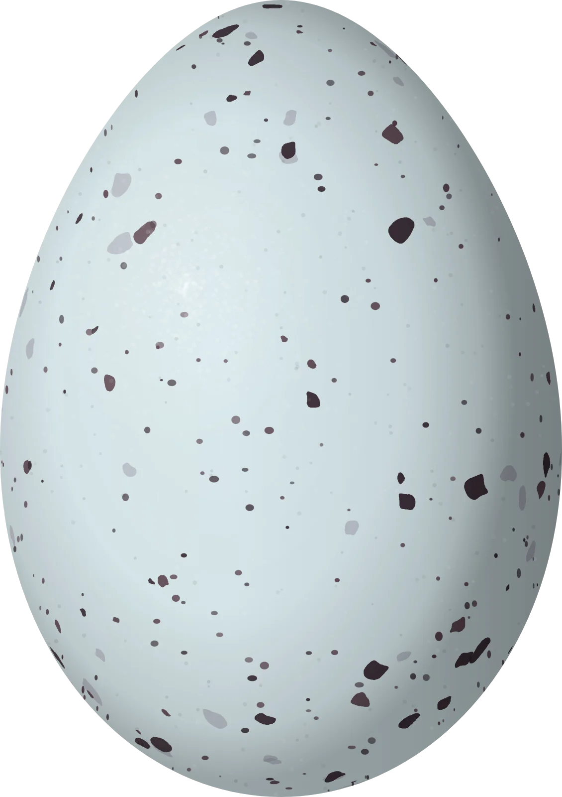 Illustration of an Azure-shouldered Tanager (Thraupis cyanoptera) egg, 23.5 × 16.6 mm