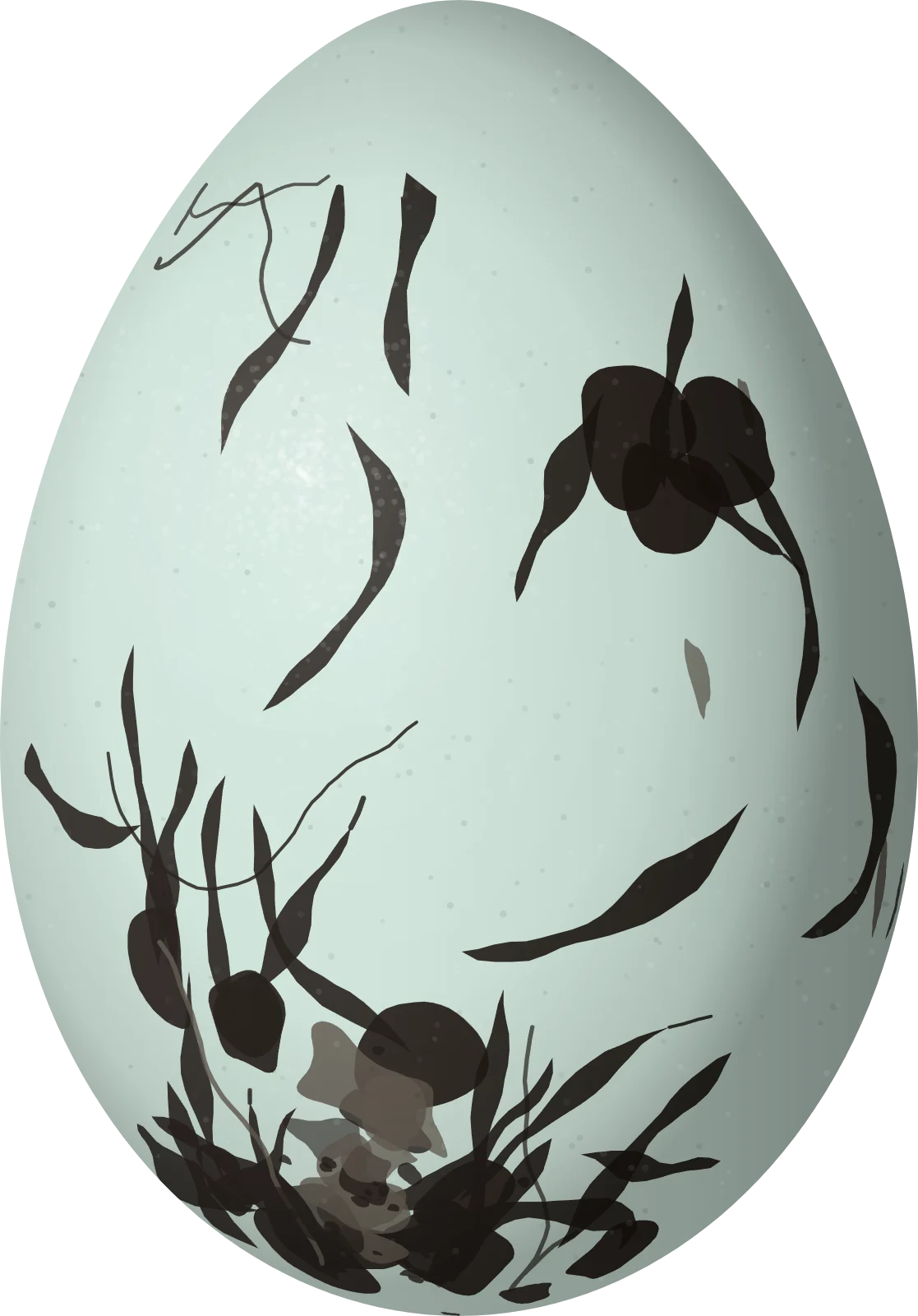 Illustration of a Bahama Oriole (Icterus northropi) egg, 24.2 × 16.9 mm