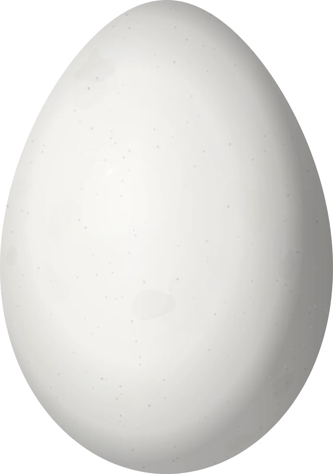 Illustration of a Bahama Swallow (Tachycineta cyaneoviridis) egg, 18.9 × 13.3 mm