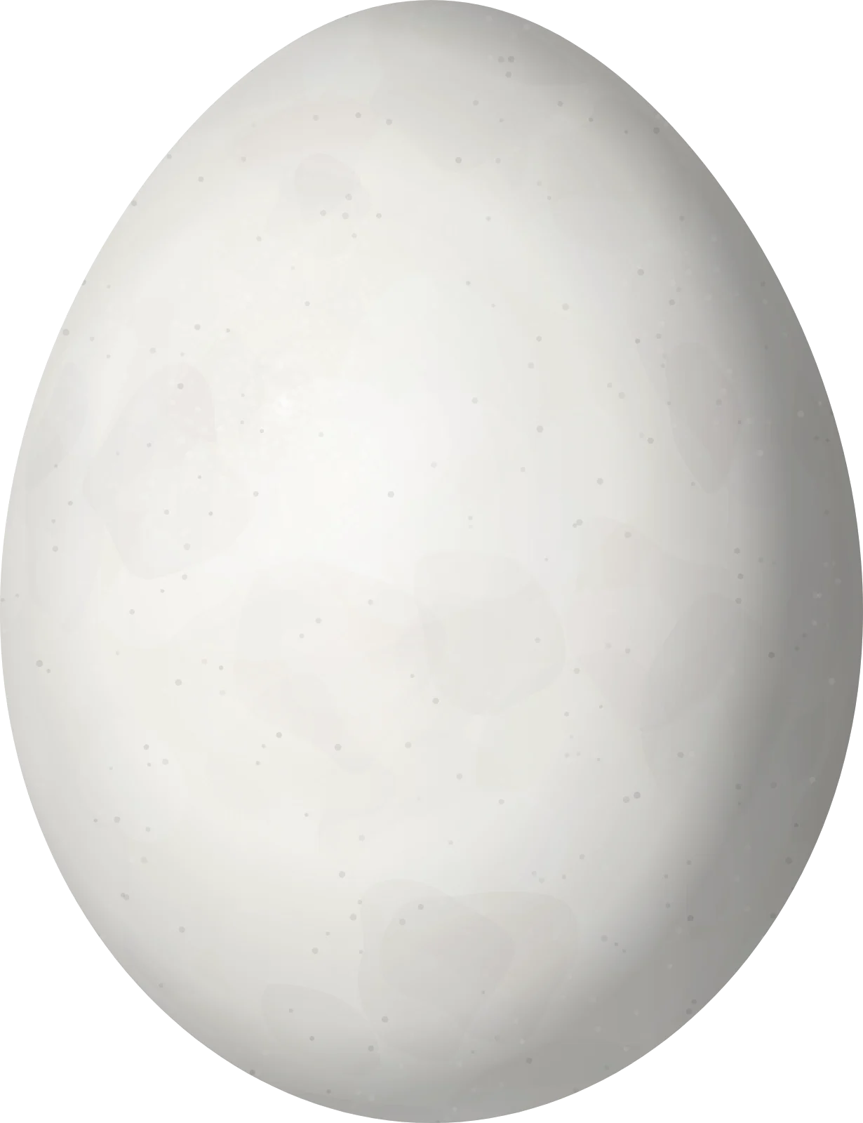 Illustration of a Bald Eagle (Haliaeetus leucocephalus) egg, 70.5 × 54.2 mm