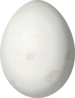 Bald Eagle egg, 70.5 × 54.2 mm