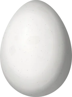 Illustration of a Bamboo Foliage-gleaner (Anabazenops dorsalis) egg, 24.3 × 18 mm