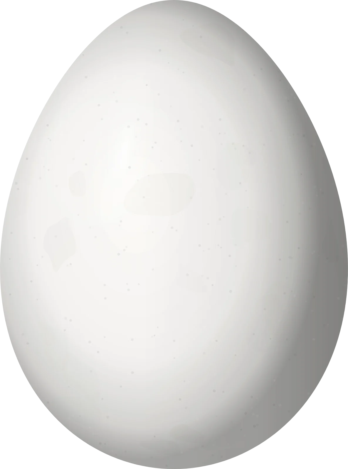 Illustration of a Bamboo Foliage-gleaner (Anabazenops dorsalis) egg, 24.3 × 18 mm