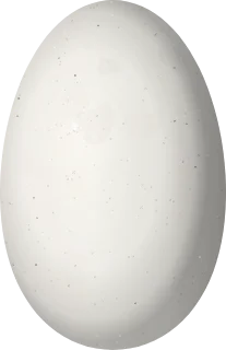 Illustration of a Band-tailed Barbthroat (Threnetes ruckeri) egg, 14.5 × 9.4 mm