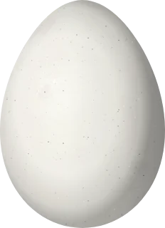 Illustration of a Band-tailed Earthcreeper (Ochetorhynchus phoenicurus) egg, 23.9 × 17.3 mm