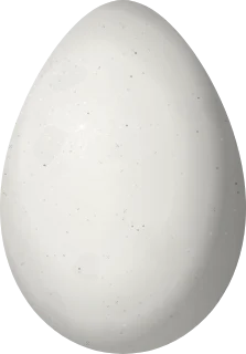 Illustration of a Band-tailed Guan (Penelope argyrotis) egg, 70.5 × 49.2 mm